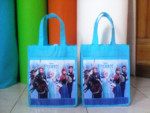 Tas Kantong Frozen